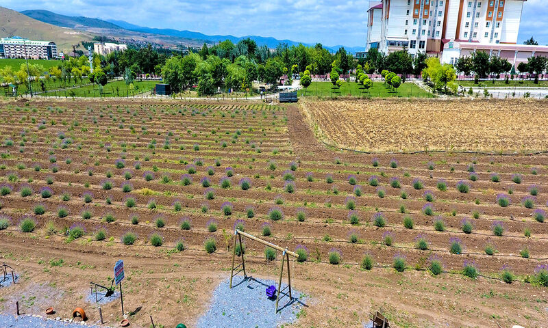 Sandıklı Thermal Park Resort Spa & Convention Center